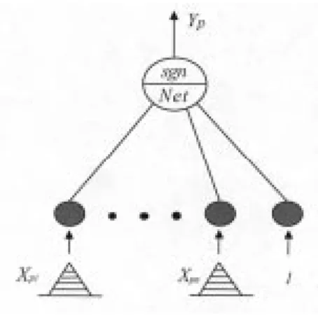 Fig. 1. The architecture of a fuzzy perceptron neural network.