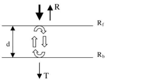 Figure 1. A schematic diagram of a RCE structure.