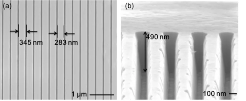 FIG. 2. (a) Top-view and (b) tilted angle SEM images of GaN-based HCG SELs. The period, duty cycle, and height of HCG were estimated to be 345 nm, 0.82, and 490 nm, respectively.