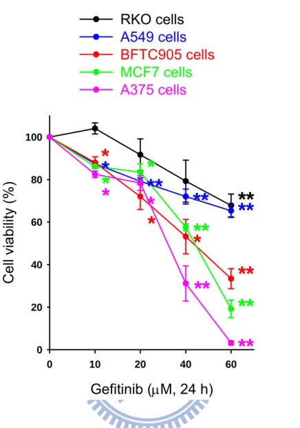 Fig. 1. The effect of gefitinib on the cell viability in a variety of human cancer cell              lines