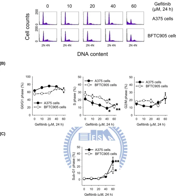 Fig. 3. The effect of gefitinib on the cell cycle progression and sub-G1 formation in        A375 and BFTC905 cells