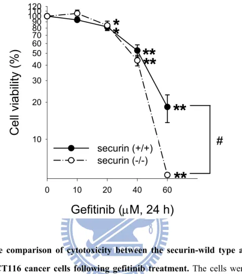 Fig. 10. The comparison of cytotoxicity between the securin-wild type and -null 