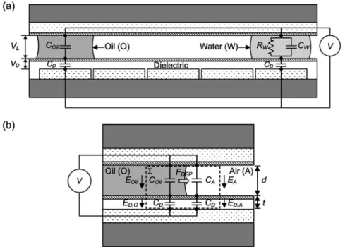 Fig. 4 Force analyses based on voltage distributions. (a) Simplified equivalent circuits of oil and water droplets