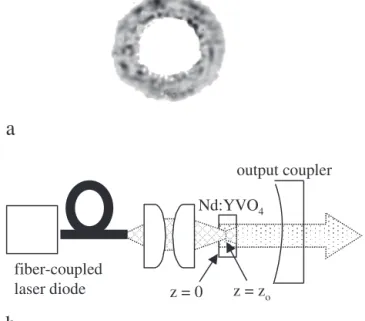 Fig. 1. a A typical beam profile of a fiber-coupled laser diode away from the