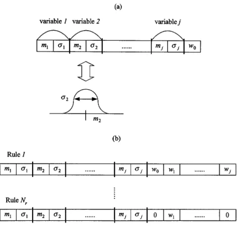 Fig. 2. Coding of a fuzzy rule into a chromosome in symbiotic evolution. (a) A rule with a singleton in the consequence