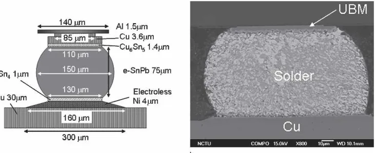 Fig. 2. (a) Schematic structure for the solder bump used in this study. (b) Cross-sectional SEM image for a SnPb solder bump with a bump height of 75 mm.