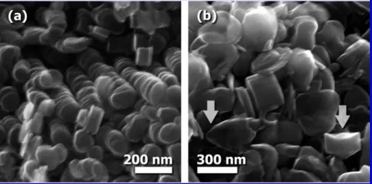 Figure 1. SEM images of the resultant products: (a) disc-like nanoparticles and (b) mixture of the disc-like and conical (arrowed) nanoparticles found after sonication treatment.