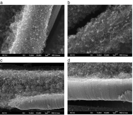 Fig. 1 shows that the carbon nanotubes were directly grown on carbon cloth by MWCVD under different additive bias