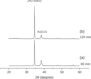 Fig. 1. SEM images showing the morphology of (a) and (b) ZnO for 60 min and (c) and (d) for 120 min