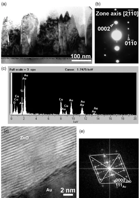 Fig. 3. (a) TEM micrograph in cross-section view showing the microstructure of ZnO with Au after 60 min deposition