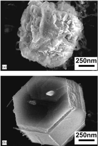 Fig. 2. SEM images of agglomerated polyhedral Zn nanocrys- nanocrys-tals synthesized by liquid solution and vapor transport method with average particle size of 150–250 nm in diameter.