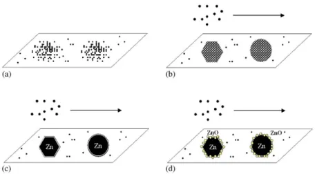 Fig. 5. Schematic illustration for the growth mechanism of Zn/ZnO polygon prismatic nanocrystals.