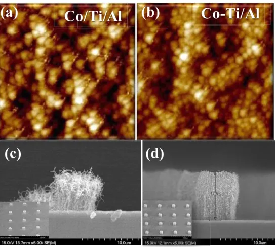 Fig. 4 AFM image of the particle during pretreatment. (a) Co/Ti/Al (b) Co-Ti/Al    SEM image of the pillar-like structure (c) Co/Ti/Al (b) Co-Ti/Al at 550  o C 