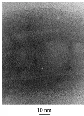 Fig. 5. Raman spectrum for CNFs grown on the Ni–P alloy catalyst at substrate temperature approximately 650 8C for 10 min.