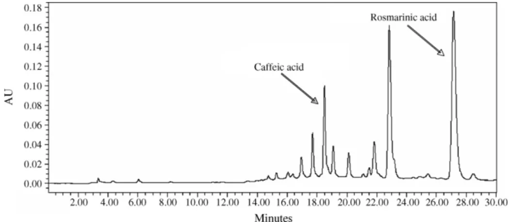 Fig. 1. HPLC chromatogram of Perilla frutescens leaf extract (PLE). Peaks of rosmarinic acid (RosA) and caffeic acid of PLE in the HPLC profile were identified by comparison with the retention times and UV spectra of standard compounds.