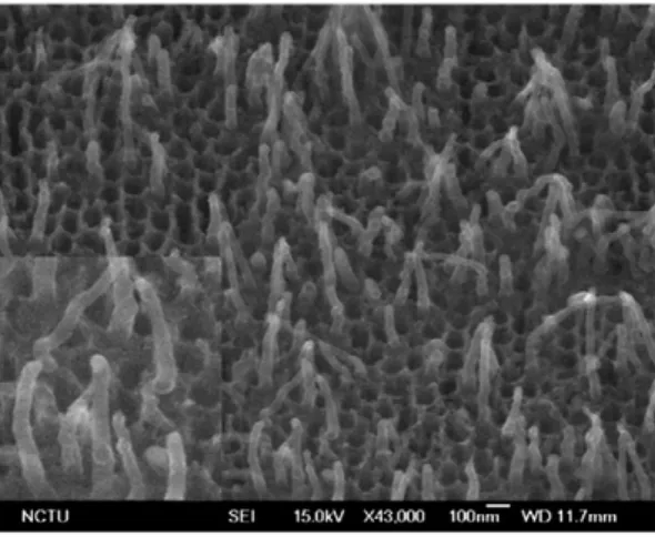 Fig. 6. Field-emission current density (J) –electric field (E) characterization of the AAO-CNT triode array