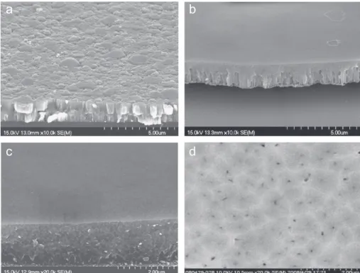 Fig. 3. FE-SEM images of (a) after 2 M KOH etches of MBE-GaN lateral growth layer, and (b) as-grown free-standing GaN layer