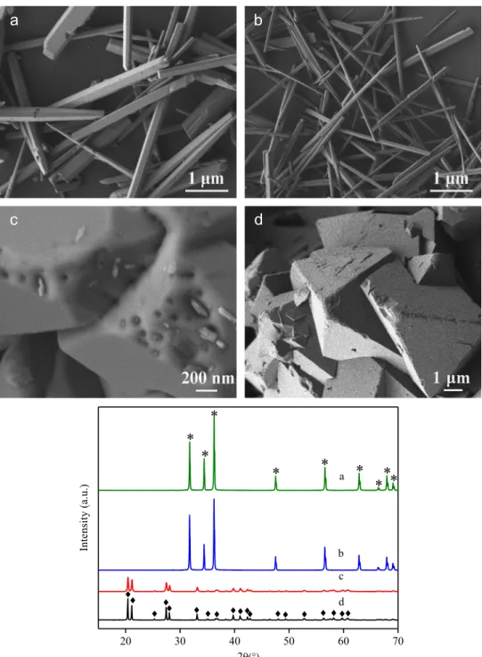 Fig. 1. Morphology and XRD patterns of the samples formed at different temperatures and time