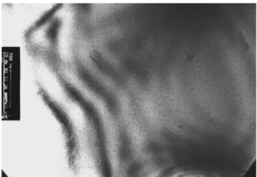 Fig. 4. AFM image of the surface of the top Ge layer.