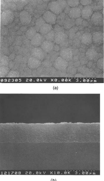 FIG. 1. SEM photographs of thin films, (a) Surface, deposited at 973 K without carrier gas; (b) Cross section, deposited at 923 K H2 20 seem.
