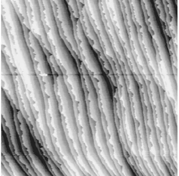 FIG. 1. STM image of a clean Si ~100!-(231) surface. The scan range is 30 000 330 000 Å 2 .