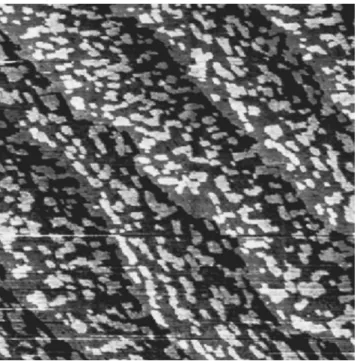 Figure 2 ~d! depicts a well-ordered and relatively smooth surface after further annealing at 900 K