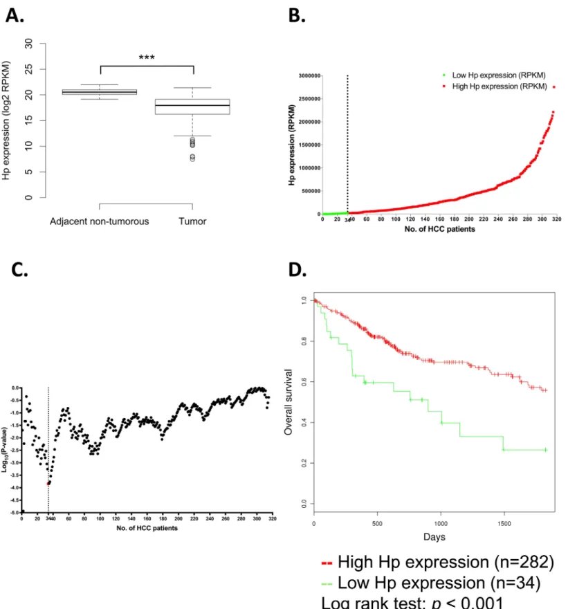 Fig 2. Hp gene expression and five-year overall survival rate analysis in TCGA HCC patients