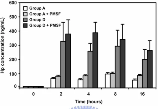 Figure 5.    Time course of Hp protein released into RPMI 1640 medium by somatic cells  from group A and D ex vivo