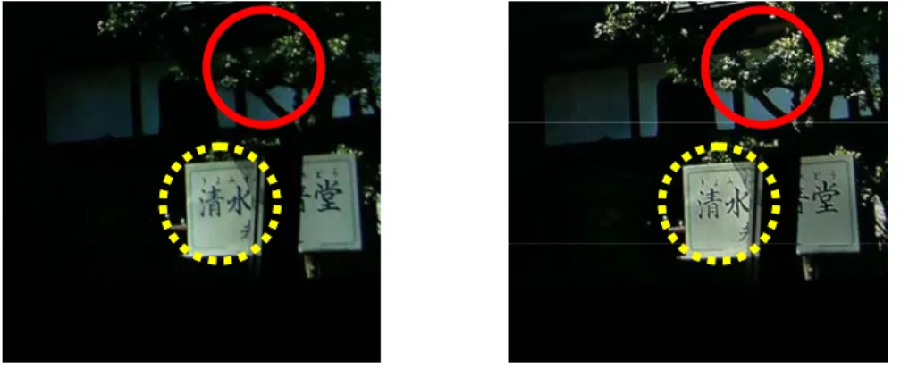 Fig. 4. Results of (a) conventional HDRD system and (b) HDRI-based HDRD system 