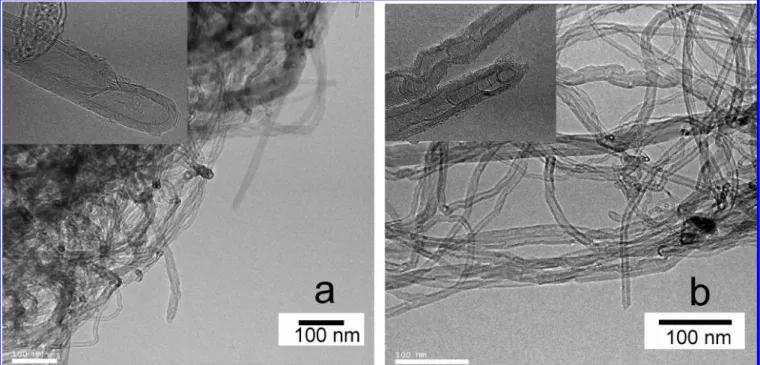 Figure 3. TEM images of (a) the pristine MWCNTs and (b) the MWCNTs treated by the ECR plasma for 5 min.