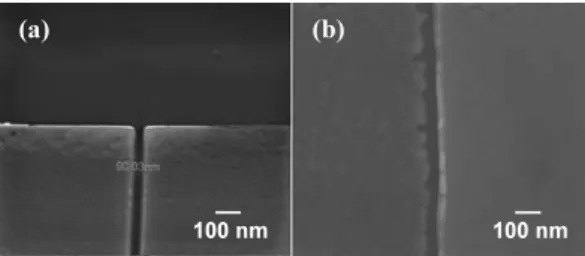 Fig. 2 The SEM images of the nanogaps formed on the Pd strips, where (a) is prepared by FIB technique and (b) is by hydrogen  em-brittlement