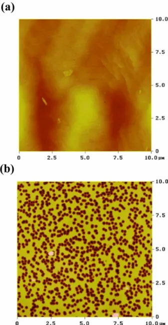 Fig. 2 shows AFM images of p-type GaN surface grown at (a) 1050 C and (b) 800 C. With the variation of grown temperature, the root-mean-square (rms) roughness of p-type