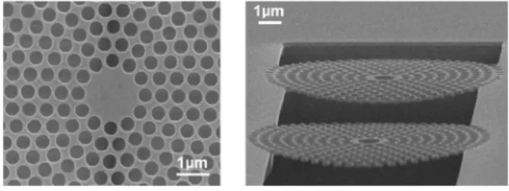 FIG. 3. Top-view 共left兲 and tilted-view 共right兲 SEM pictures of fabricated sunflower-type CPC C2 microcavities.
