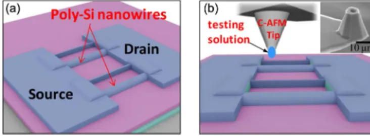 Fig. 1. Schematic plots of the key steps for dry-type poly-Si nanowire sensor. (a) Nanowire structure was formed after the removal of the 100-nm-thick TEOS oxide strips
