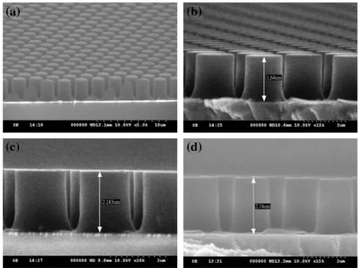 Fig. 5. SEM image of imprinted results.
