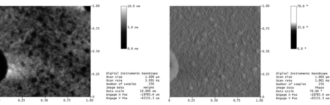 Figure 7. AFM images of PBDT-DODTBT/PC 71 BM (1:2) prepared from 1,2-dichlorobenzene solution: topographic image (left) and phase image