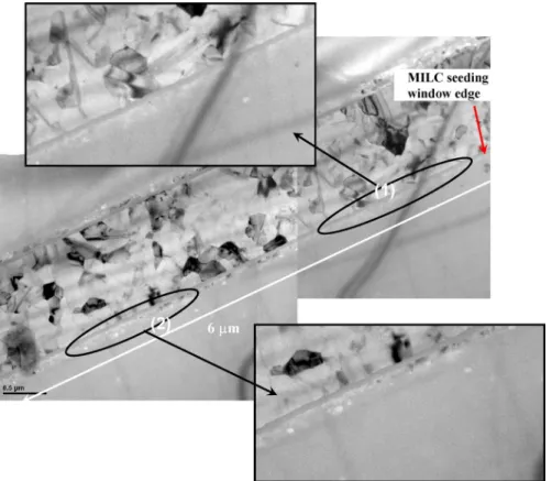 Fig. 6. An overview on the crystallization region of an MILC Si NW received with RTA treatments