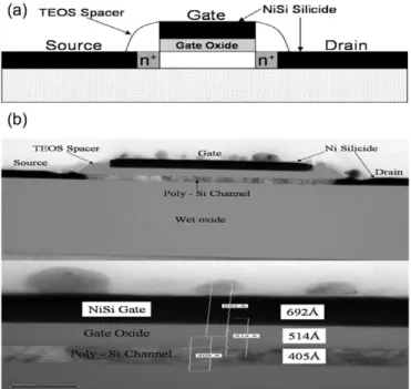 Fig. 1. (a) Schematic device structure and (b) TEM micrograph of the FSA-TFTs with gate length of 0.8 µm and channel thickness of 40 nm.