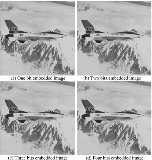 Fig. 7.  Watermarked “Airplane” image 