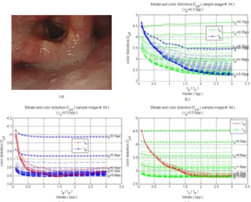 Fig. 2. The rate-distortion curve of the GI image clip #2.  (a) The GI image  #2.  (b) the rate-distortion curves