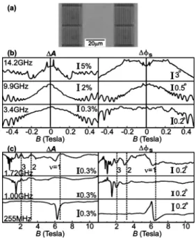 Figure 2 (b) displays low-field results for both directions of B. Besides the apparent Shubinkov–de-Hass (SdH)  oscil-lations, we can observe additional intriguing features for B below 0.2 T