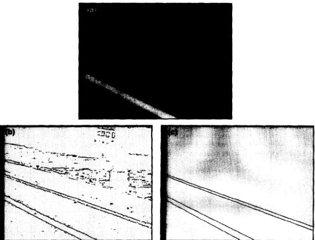 Fig. 3.  The experimental result of applying the proposed line detector. (a)  A  real  image