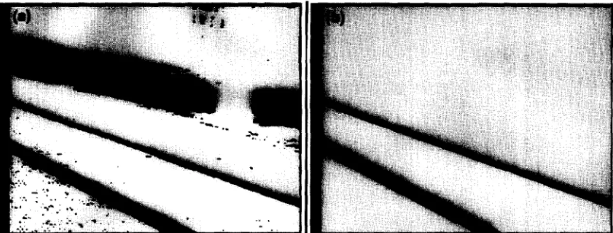 Fig.  5.  The  experimental  result  of applying  the  proposed  band  detector.  (a)  The  thresholded  image  of Fig