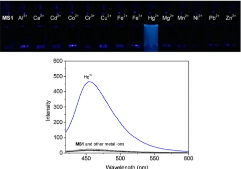 Fig. 1. Fluorescene change of chemosensor MS1 (10 ␮M) upon addition of various metal ions (60 ␮M) in methanol–H 2 O (v/v = 4/1, 10 mM HEPES, pH 7.0) solutions