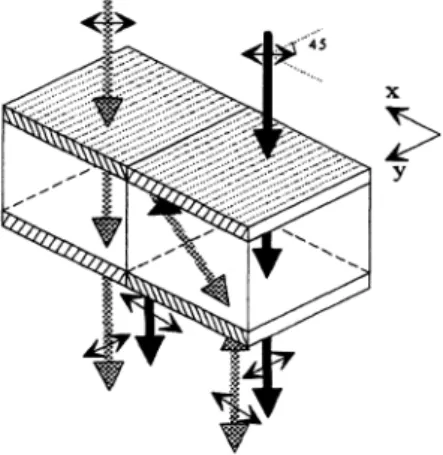 Fig. 1 The structure of a holographic polarization-selective element.