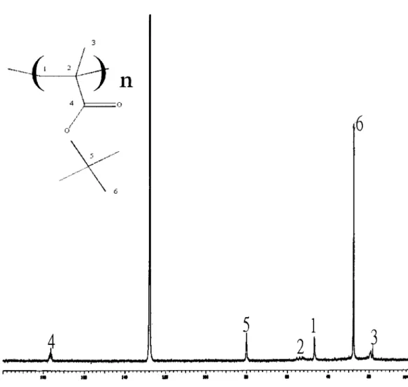 Figure 7 Liquid-state 13 C-NMR spectrum of PtBMA in C6D6.