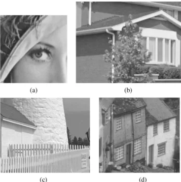 Fig. 10. Portions of resolution enhanced Lena image by (a) bilinear interpo- interpo-lation, (b) bicubic interpointerpo-lation, (c) linear associative memories (LAM)  inter-polation [15], (d) edge-directed interinter-polation [14], (e) AQua interinter-pola
