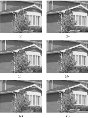 Fig. 12. Portions of resolution enhanced Lighthouse image by (a) bilinear inter- inter-polation, (b) bicubic interinter-polation, (c) LAM interpolation [15], (d) edge-directed interpolation [14], (e) AQua interpolation [12], and (f) the proposed  HVS-di-re