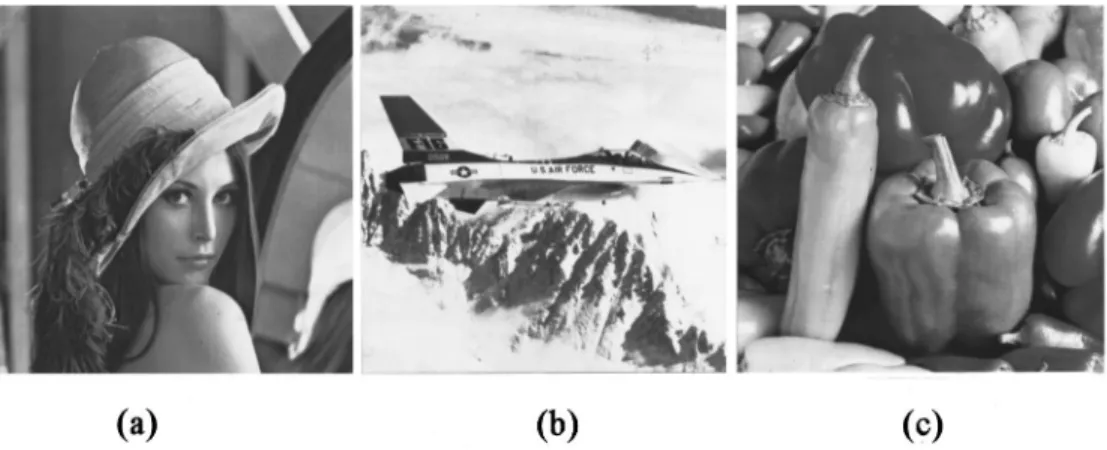 Fig. 5 Reconstructed images of the proposed HABTC method at 0.52 bpp: (a) ‘‘Lena’’ (32.28 in PSNR), (b) ‘‘Jet’’