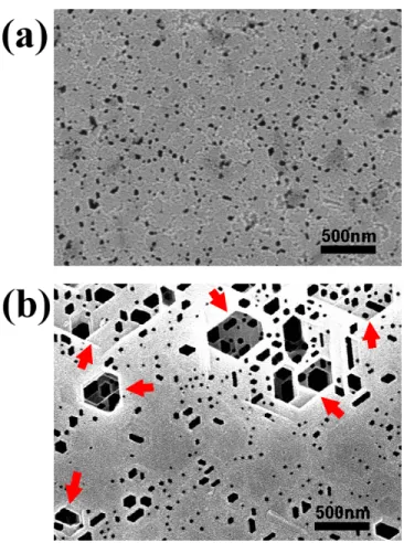 FIG. 4. SEM images of (a) the original sample without performing EPD experiment, and (b) the surface of sample performed EPD  experiment
